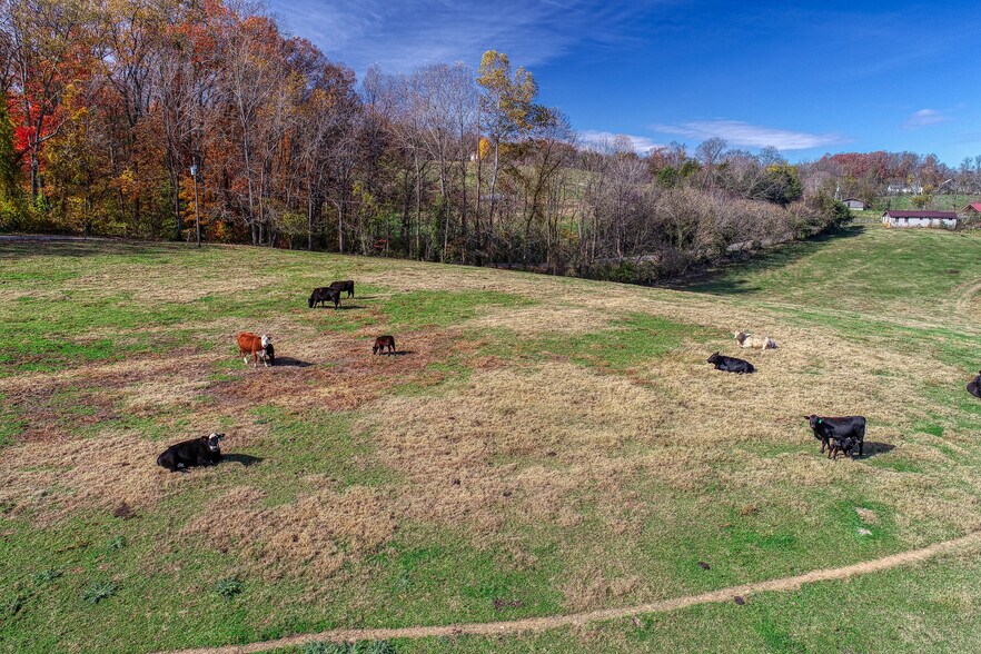 More Photos Of 311 Ross Cemetery Rd, Rocky Top Land For Sale