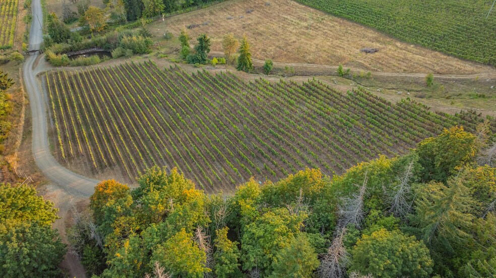 More Photos Of , Duncan Winery Vineyard For Sale