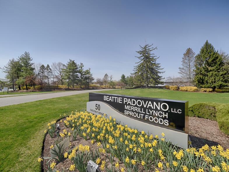 More Photos Of 50 Chestnut Ridge Rd, Montvale Office For Lease