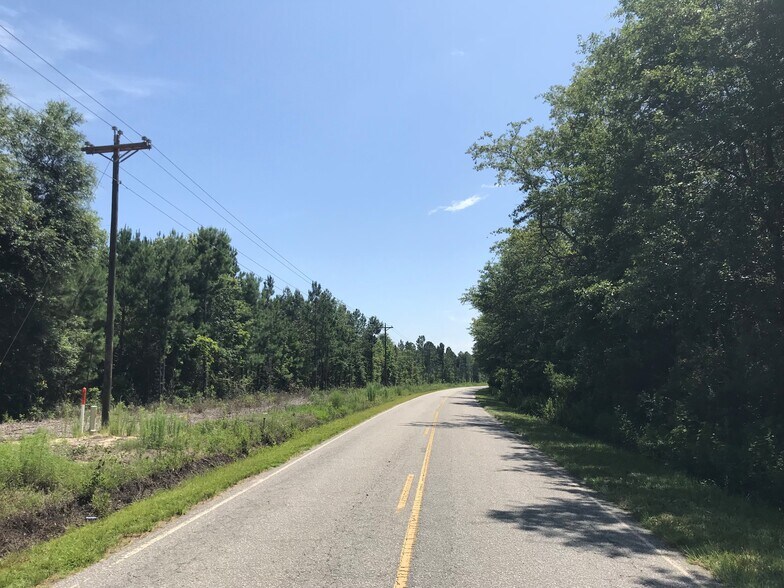 More Photos Of 0 Sniders Hwy & Cane Branch Rd, Walterboro Land For Sale