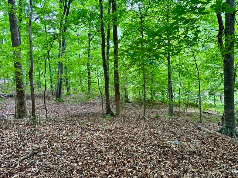 More Photos Of 1025 Dairyland Rd, Chapel Hill Land For Sale