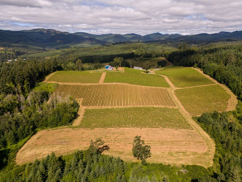 More Photos Of 12000 NW Old Wagon Rd, Carlton Winery Vineyard For Sale