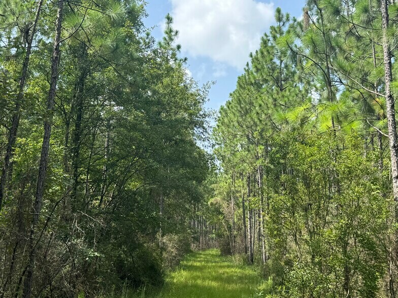 More Photos Of 0 Nokomis Road, Walnut Hill Land For Sale