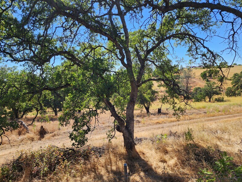 More Photos Of , Oroville Land For Sale