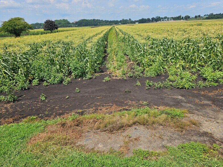 More Photos Of 73 Little York Rd, Warwick Garden Center For Sale