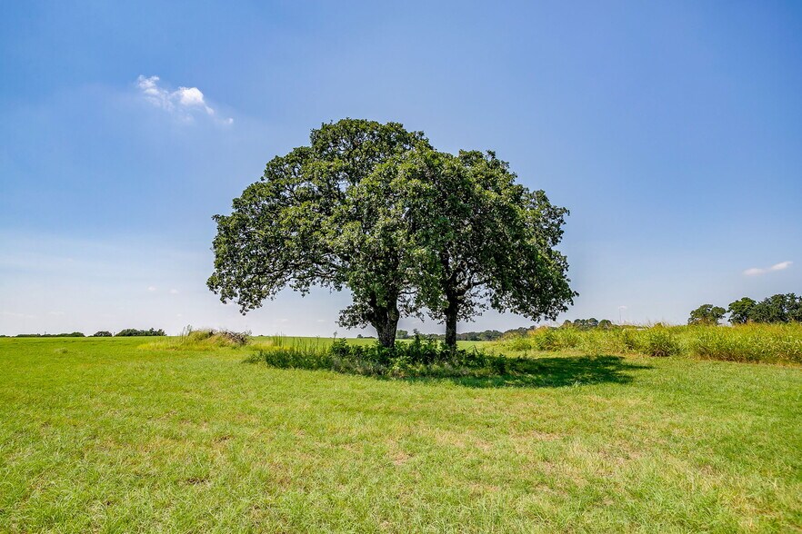 More Photos Of 601 County Road 805, Cleburne Land For Sale