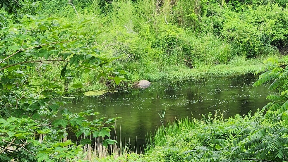 More Photos Of 1053 Main St, Warren Freestanding For Sale