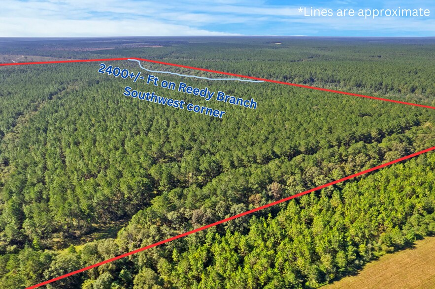 More Photos Of 0 Nokomis Road, Walnut Hill Land For Sale