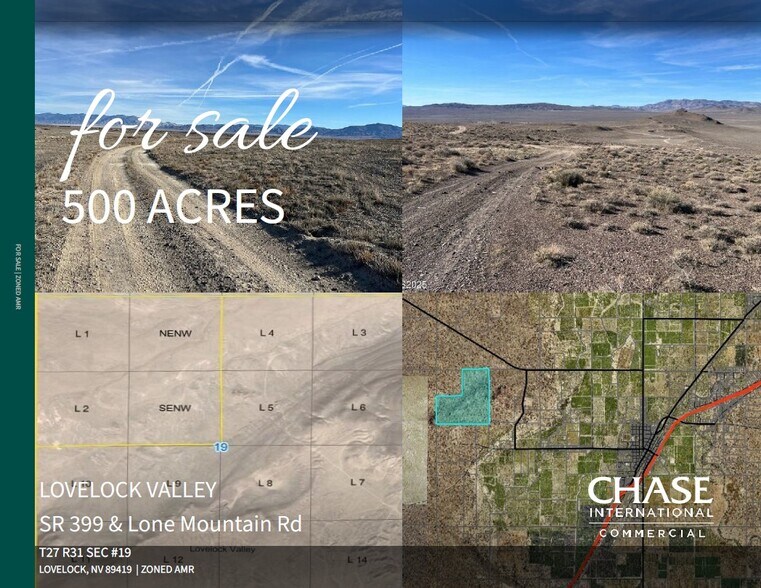 Primary Photo Of Lovelock Valley SR 399 & Lone Mountain Road, Lovelock Land For Sale