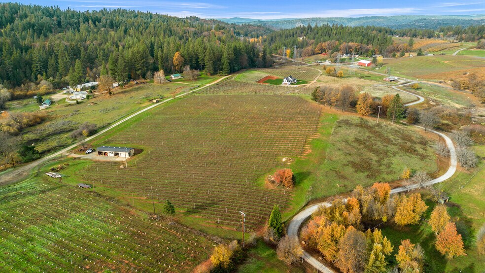 Primary Photo Of 2635 Cleese Rd, Camino Land For Sale