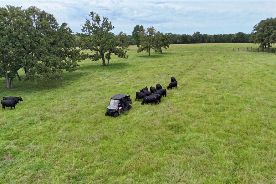 More Photos Of 705 Antioch Rd, Paige Land For Sale