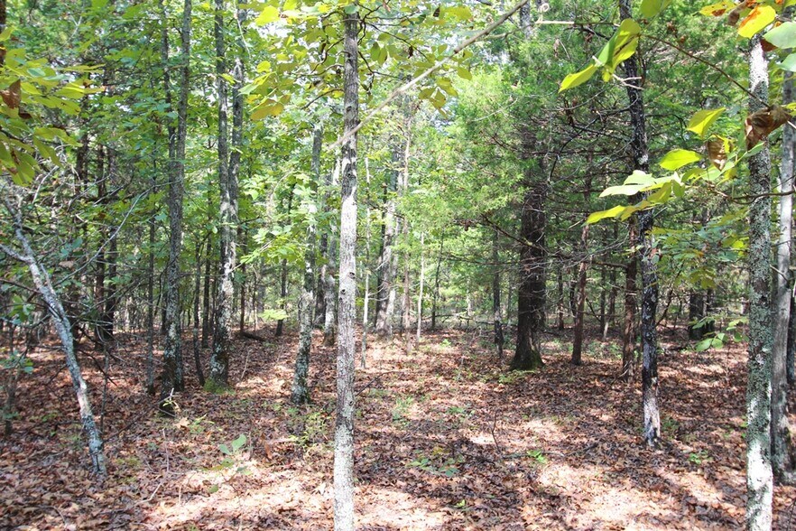 More Photos Of 226 Blythe rd, Greenbrier Land For Sale