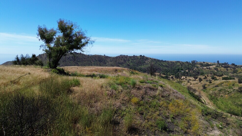 More Photos Of 2460 Tuna Canyon Rd, Topanga Land For Sale