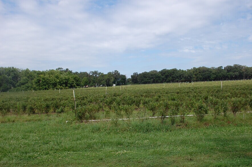 More Photos Of 18811 SE 243rd St, Hawthorne Specialty For Sale