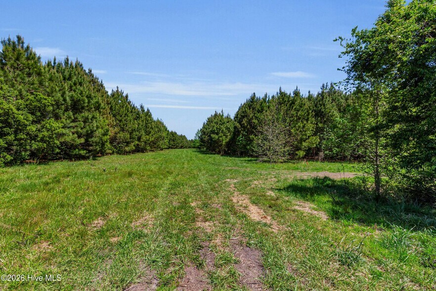 More Photos Of Burton Farm rd, Arapahoe Land For Sale