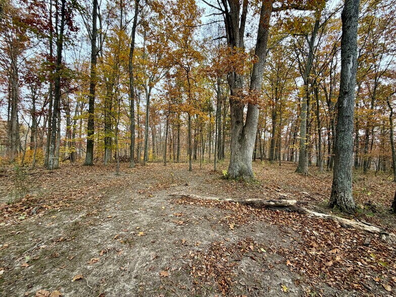 More Photos Of 23765 Charleston Rd, Leon Land For Sale