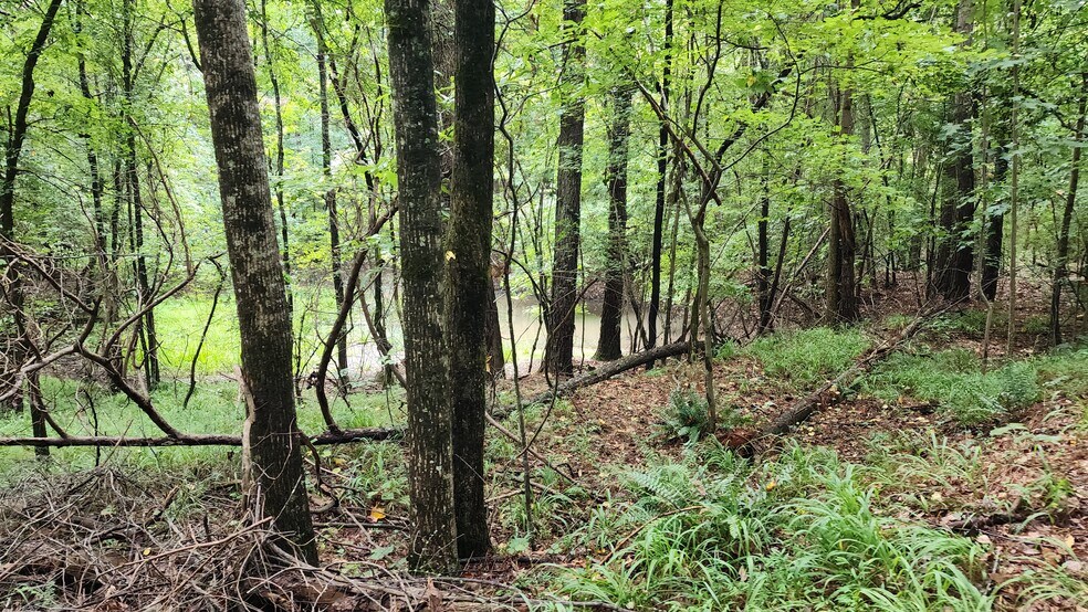 More Photos Of 1661 Friendship Rd, Hoschton Land For Sale