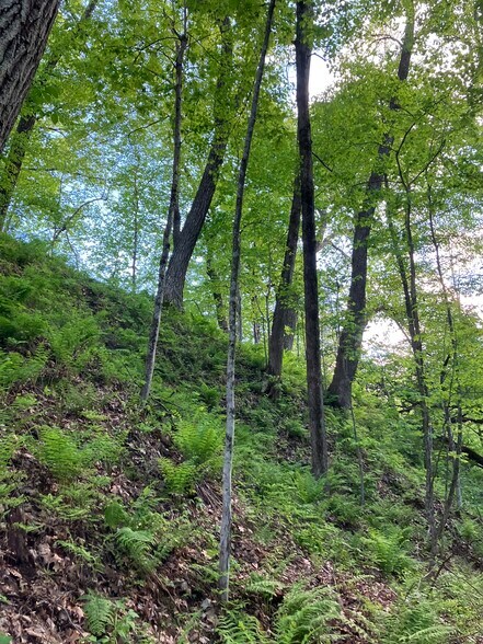 More Photos Of N3739 Bear Pen Rd, Arkansaw Land For Sale