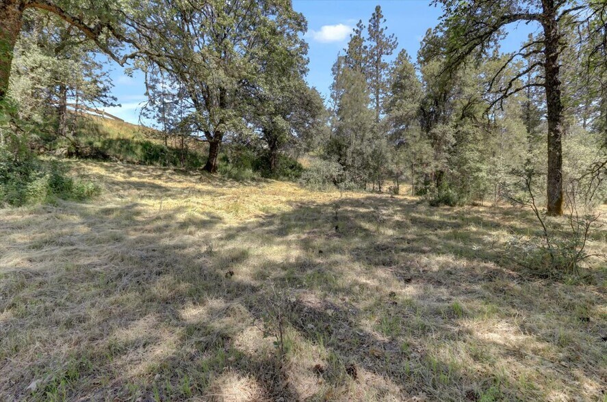 More Photos Of 10163 Alta Sierra Dr, Grass Valley Land For Sale