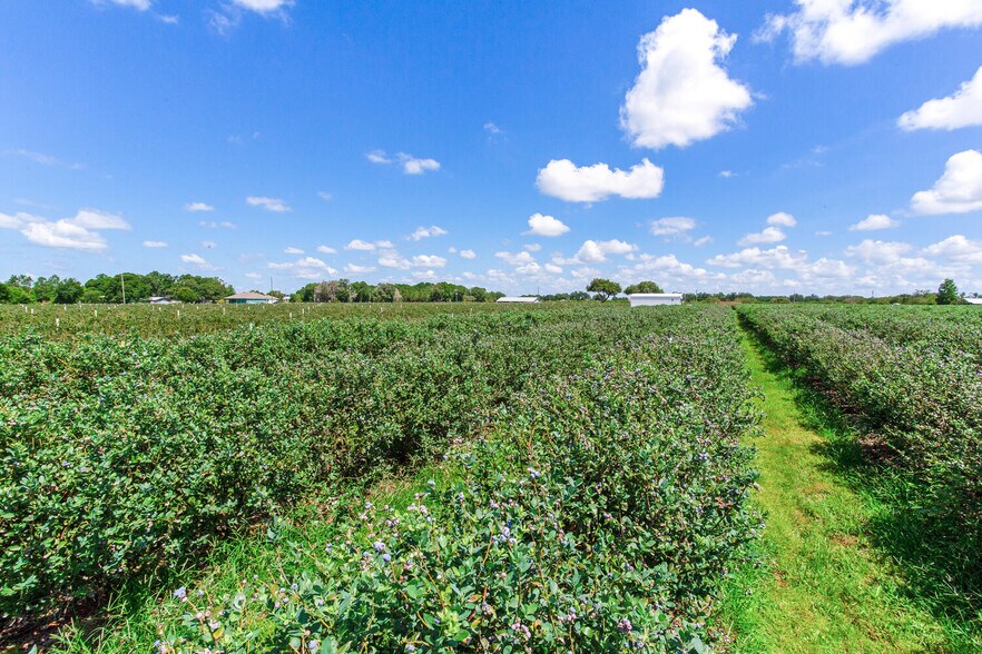 More Photos Of 3674 FL-64, Zolfo Springs Land For Sale