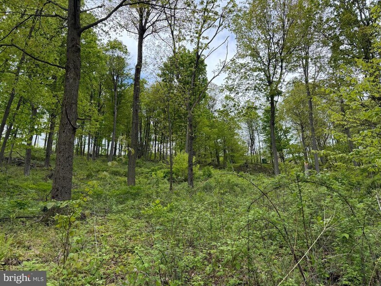 More Photos Of 230 Grandview Dr, Hyndman Land For Sale