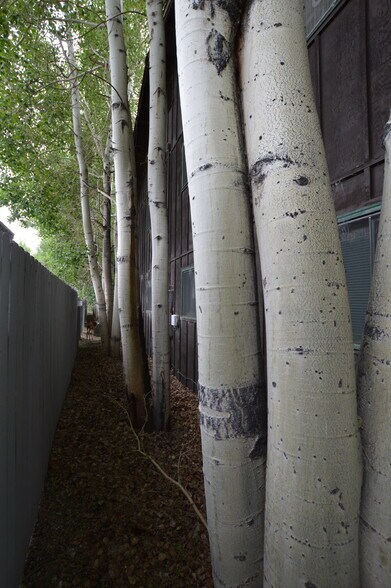 More Photos Of 1412 W Gunnison Ave, Gunnison Apartments For Sale