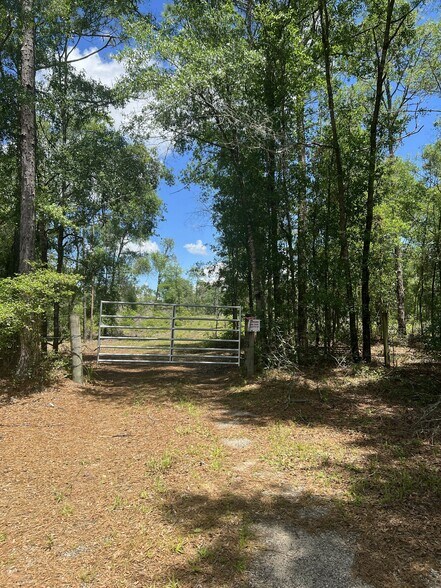More Photos Of 1650 Withlacoochee Trl, Dunnellon Land For Sale