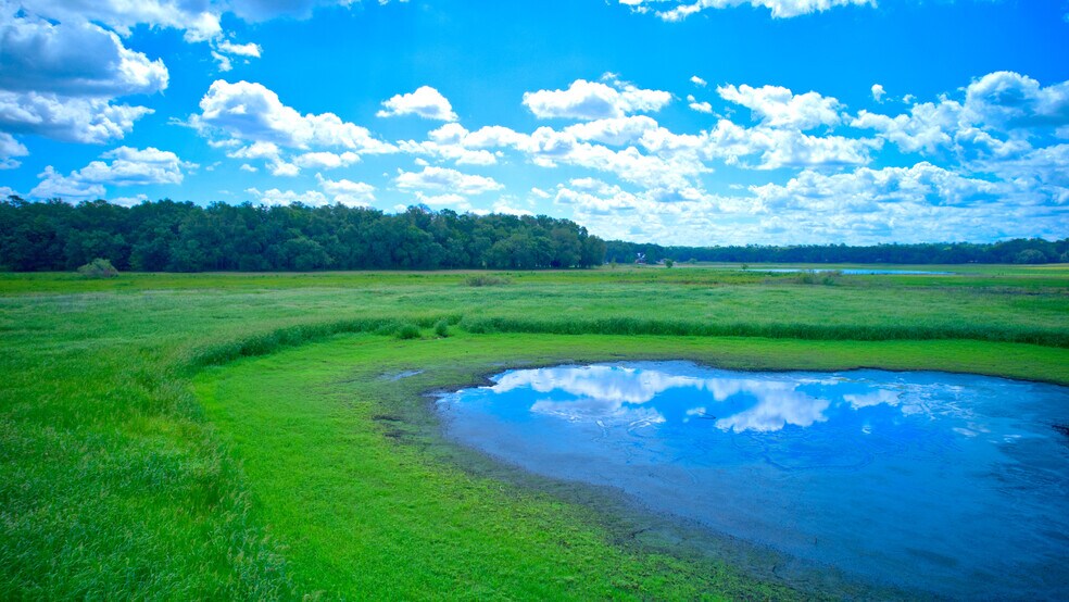 More Photos Of 3267 Neff Lake Rd, Brooksville Land For Sale