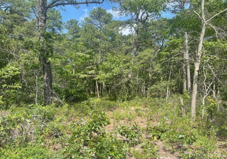 More Photos Of 1463 Route 539, Tuckerton Land For Sale