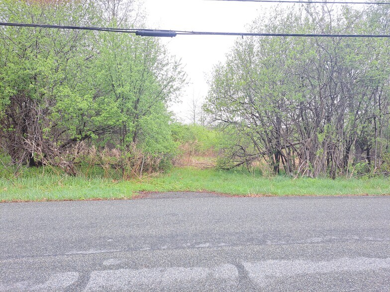 Primary Photo Of Kiernan Road @ Route 207, Campbell Hall Land For Sale