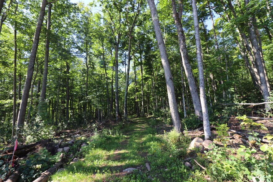 More Photos Of 35480 Whitetail Ave, Bayfield Land For Sale