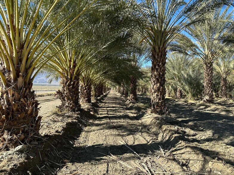 More Photos Of 60504 Jackson St, Thermal Land For Sale