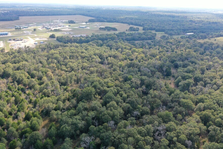 More Photos Of Country Rd 2608, Tennessee Colony Land For Sale