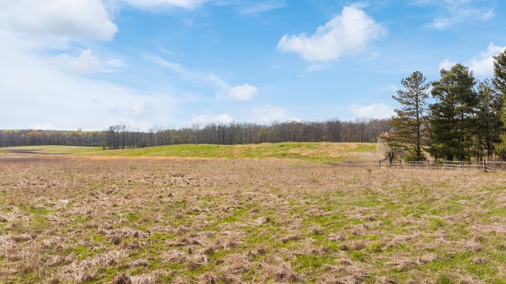 More Photos Of 17286 Ridge Rd, North Royalton Land For Sale