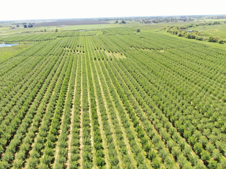 More Photos Of 0 Twin Cities rd, Herald Land For Sale