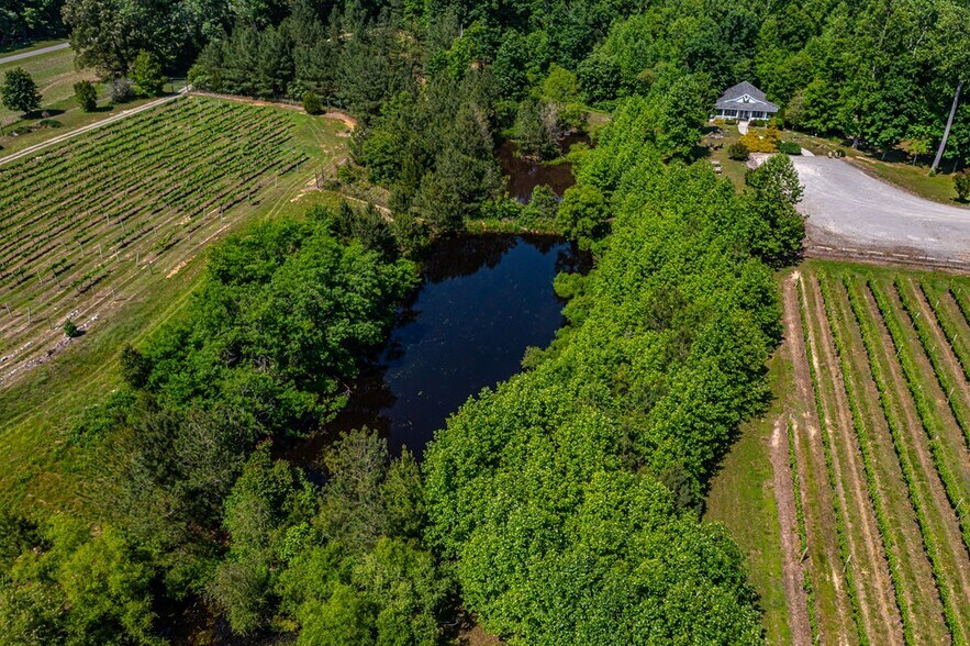 More Photos Of 3138 Jessie DuPont Memorial Hwy, Heathsville Winery Vineyard For Sale