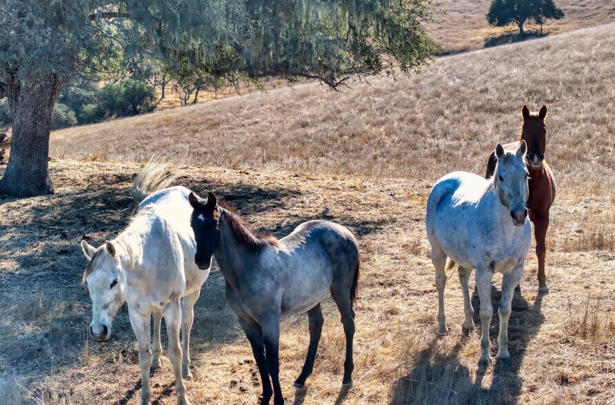 More Photos Of 12000 Nacimiento Lake Dr, Bradley Land For Sale