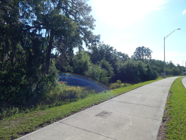 More Photos Of 30607 State Road 54, Wesley Chapel Land For Sale