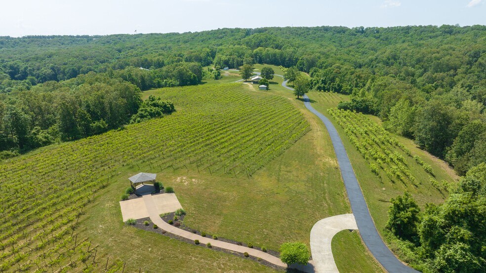 More Photos Of 846 Winery Hills Est, Linn Creek Winery Vineyard For Sale
