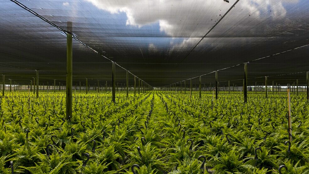 More Photos Of 227th Ave, Homestead Land For Sale