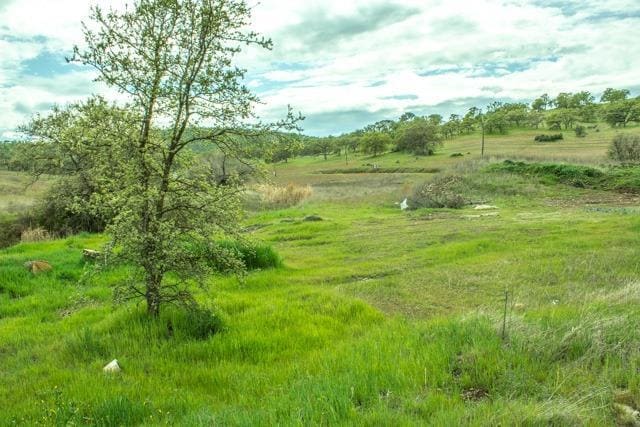 More Photos Of 14365 Las Palmas Way, La Grange Land For Sale