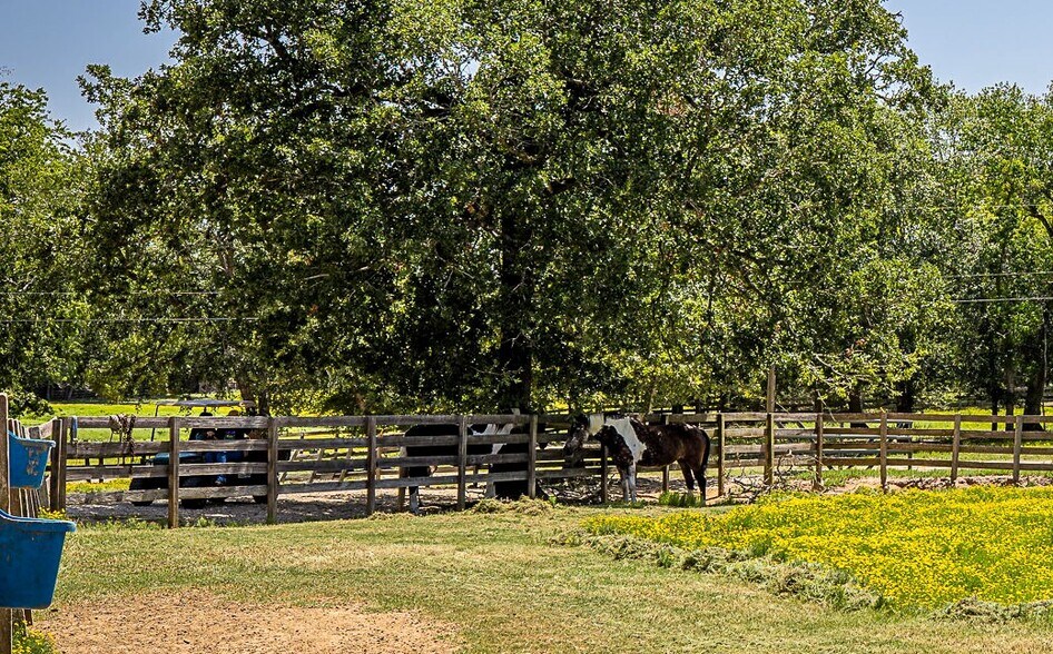 More Photos Of 26298 Hwy 105 W, Montgomery Land For Sale