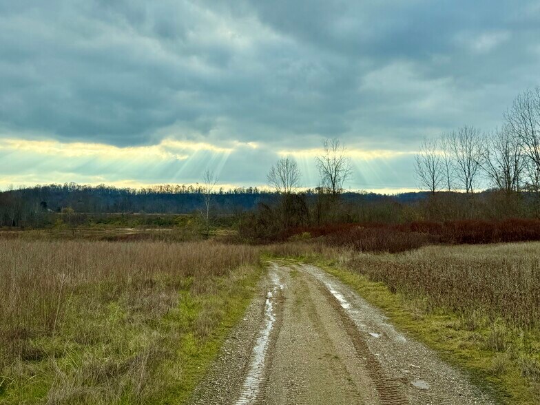 More Photos Of 16498 Graham Station Road, Letart Land For Sale
