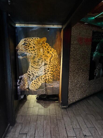 More Photos Of 1919 9th St NW, Washington Storefront For Sale
