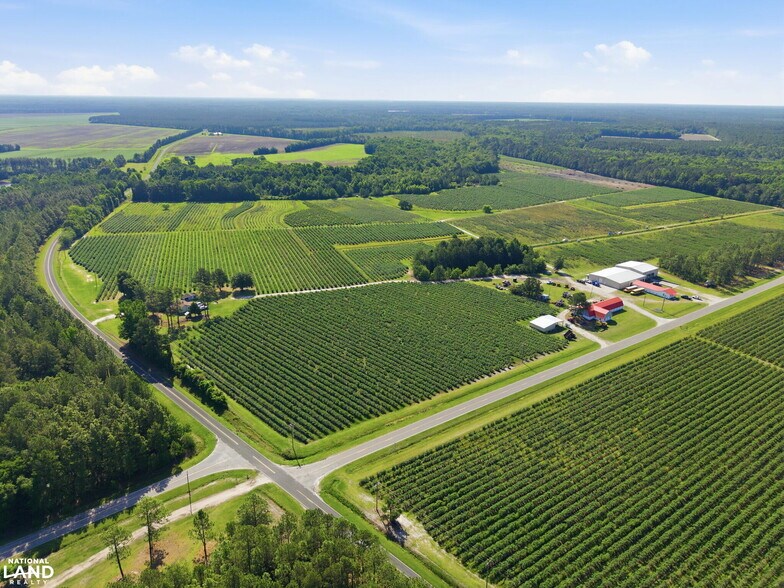 More Photos Of 5478 Halfway Branch School rd, Ivanhoe Land For Sale