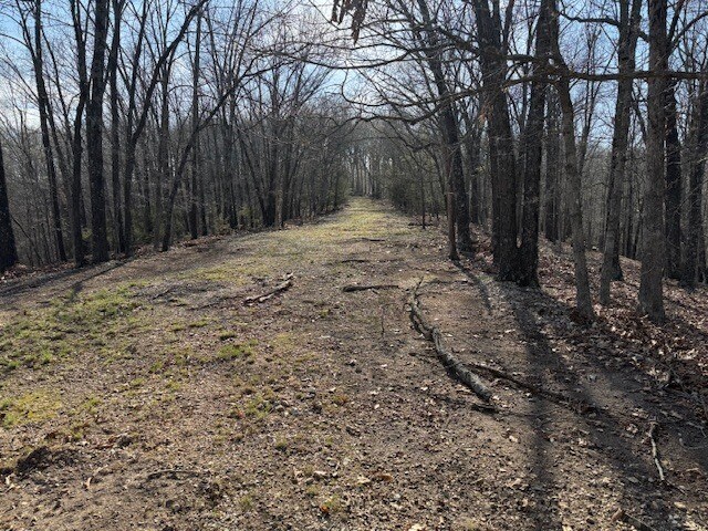 More Photos Of 190 Edgewater Dr, Eureka Springs Land For Sale