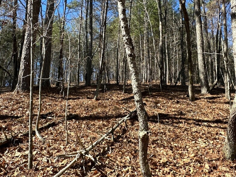 More Photos Of 3472 Prior Station Rd, Cedartown Land For Sale