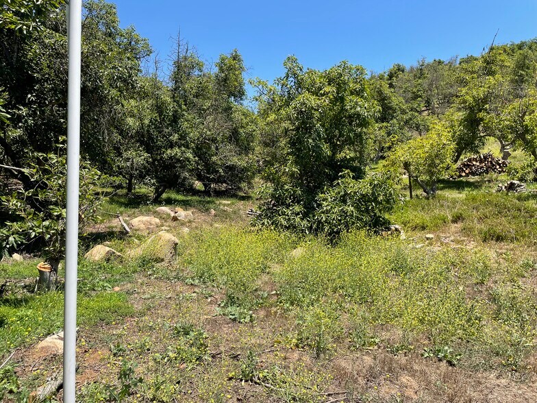 More Photos Of 44952 Vista del Mar, Temecula Winery Vineyard For Sale