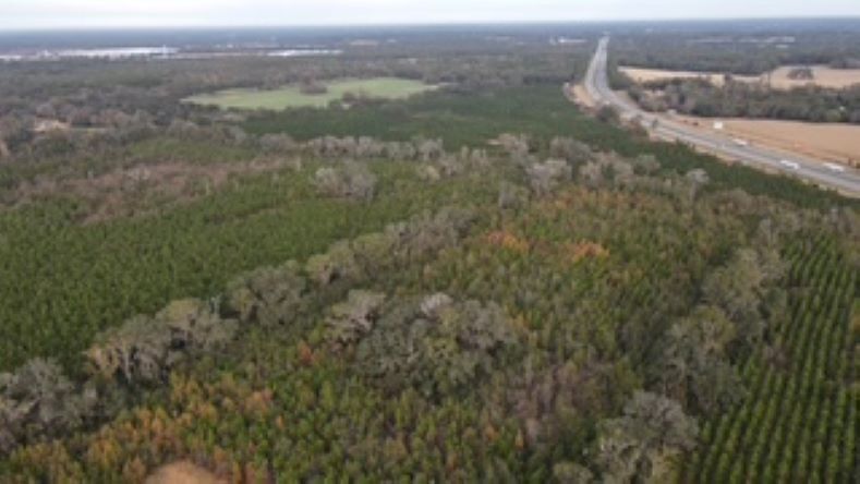 More Photos Of 10602 NW 143rd St, Alachua Land For Sale