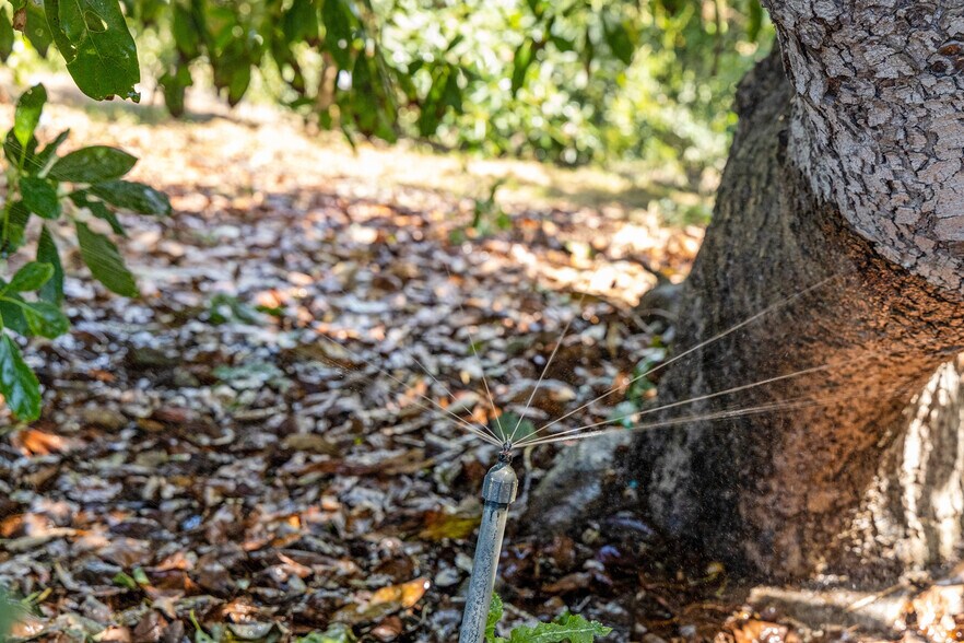 More Photos Of 36727 Muutama Ln, Valley Center Land For Sale